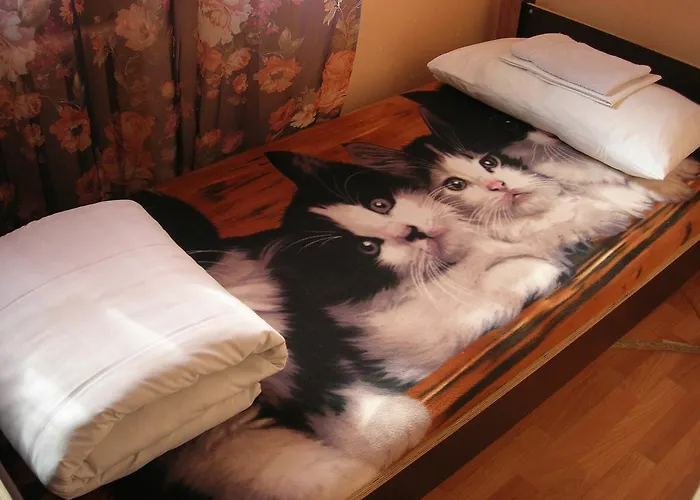 Elizabeth's Yh 里加