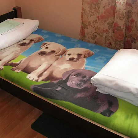 Elizabeth's Yh 리가